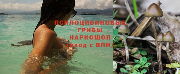 МДПВ Абдулино